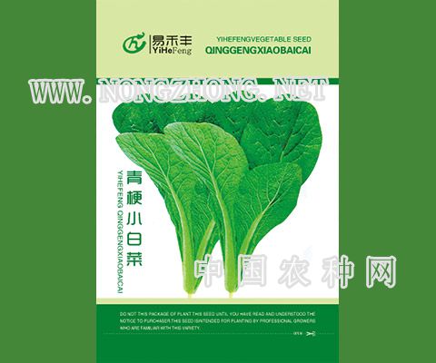 青梗小白菜